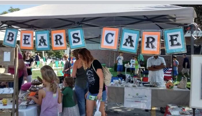Visitors at our 2017 community stall
