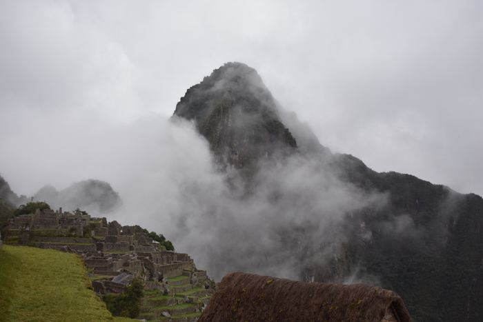 Cloud Forest