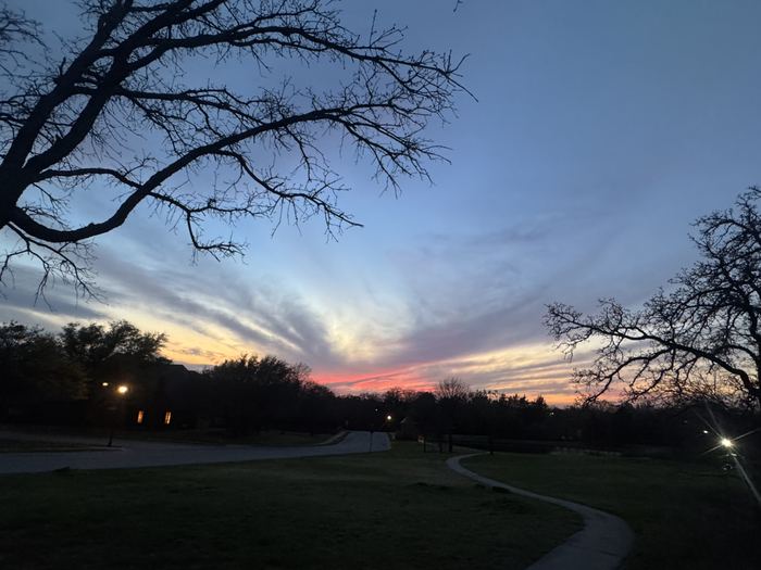 Winter Dusk &mdash; Bare branches against a pink and blue winter sky.